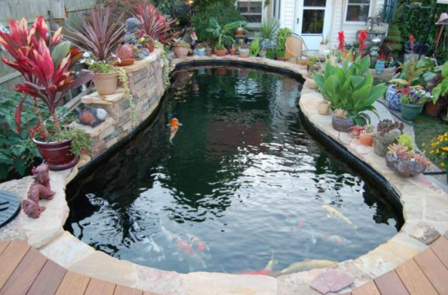 锦鲤鱼池设计