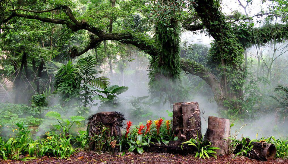 雾森系统-人造雾景观